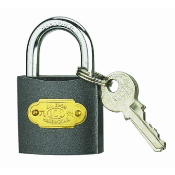 25 MM Colour Iron Padlocks